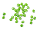 Pea Protein